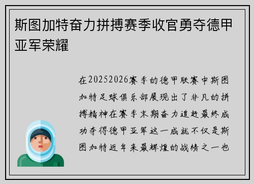 斯图加特奋力拼搏赛季收官勇夺德甲亚军荣耀